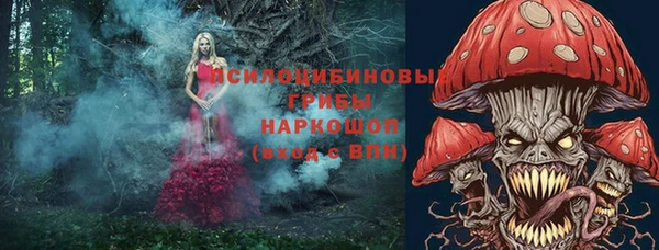 Альфа ПВП Белокуриха
