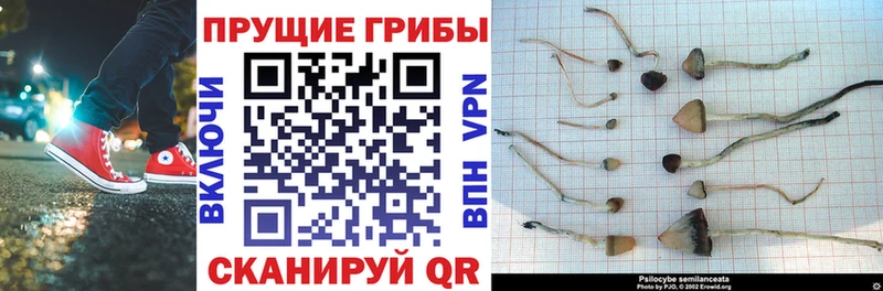 Галлюциногенные грибы GOLDEN TEACHER  Верхний Тагил 